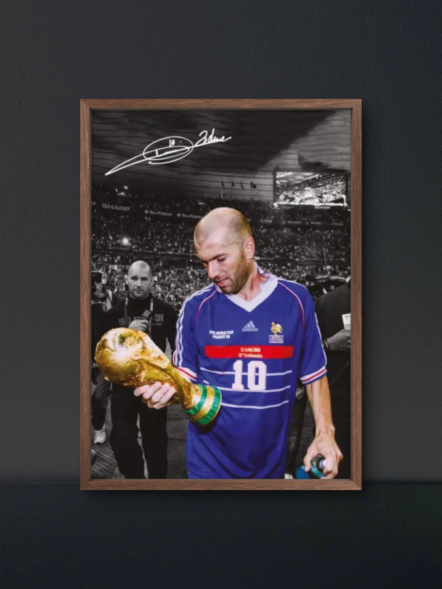 Zinedine Zidane Poster