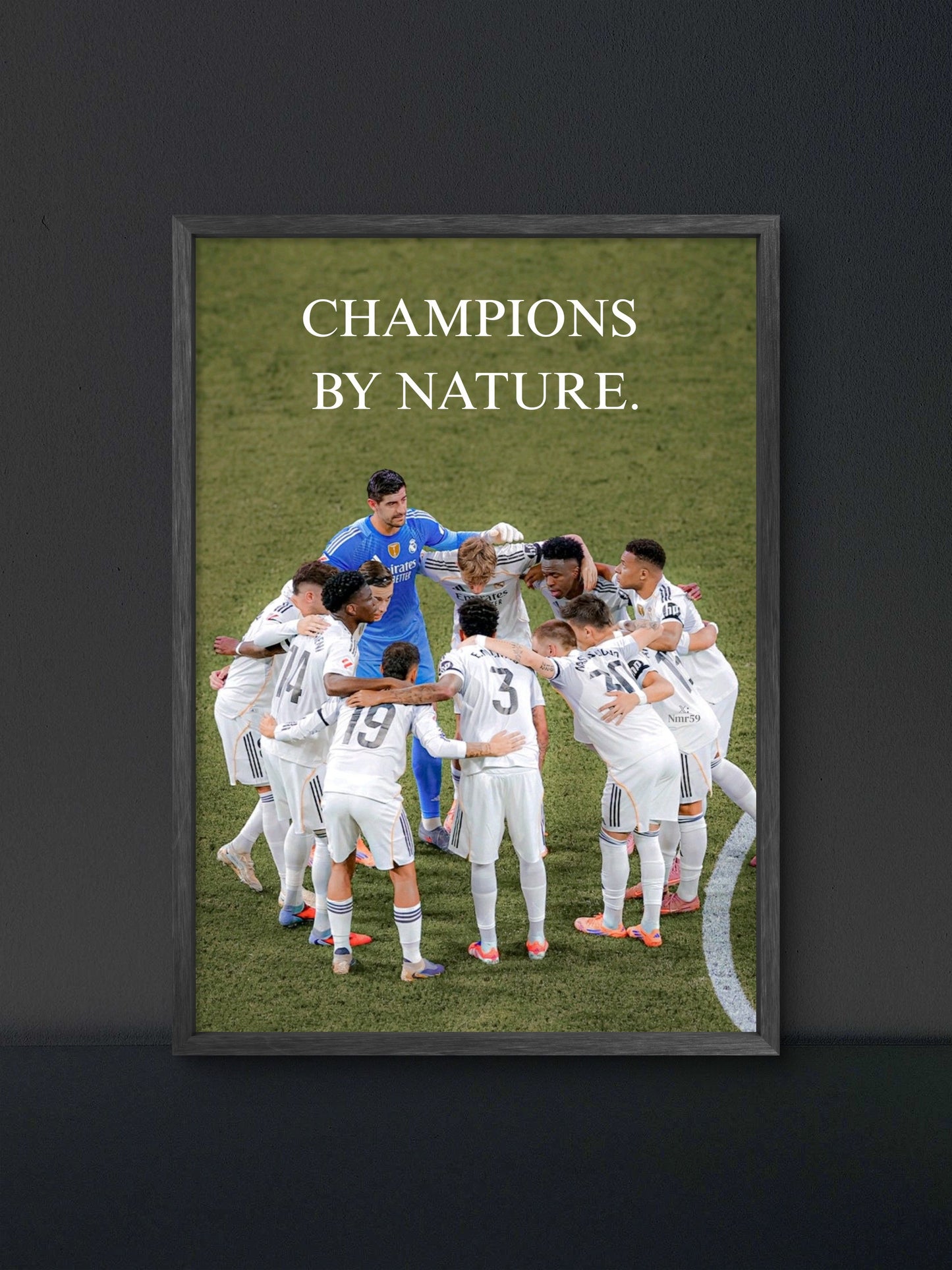 🎁 Champions By Nature (100% off)