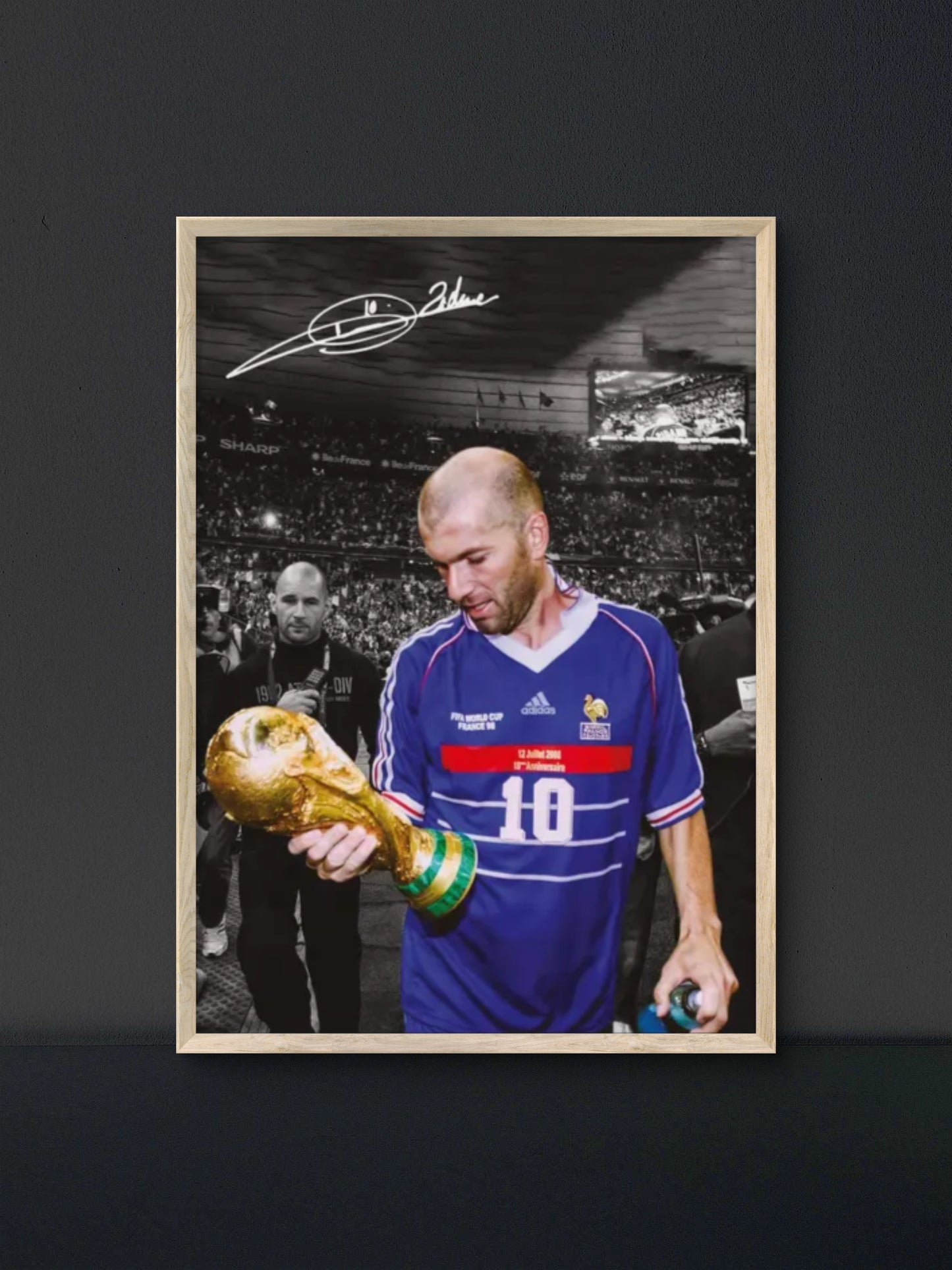 Zinedine Zidane Poster