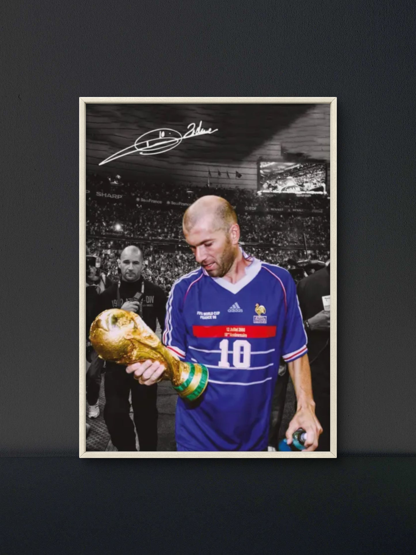 Zinedine Zidane Poster