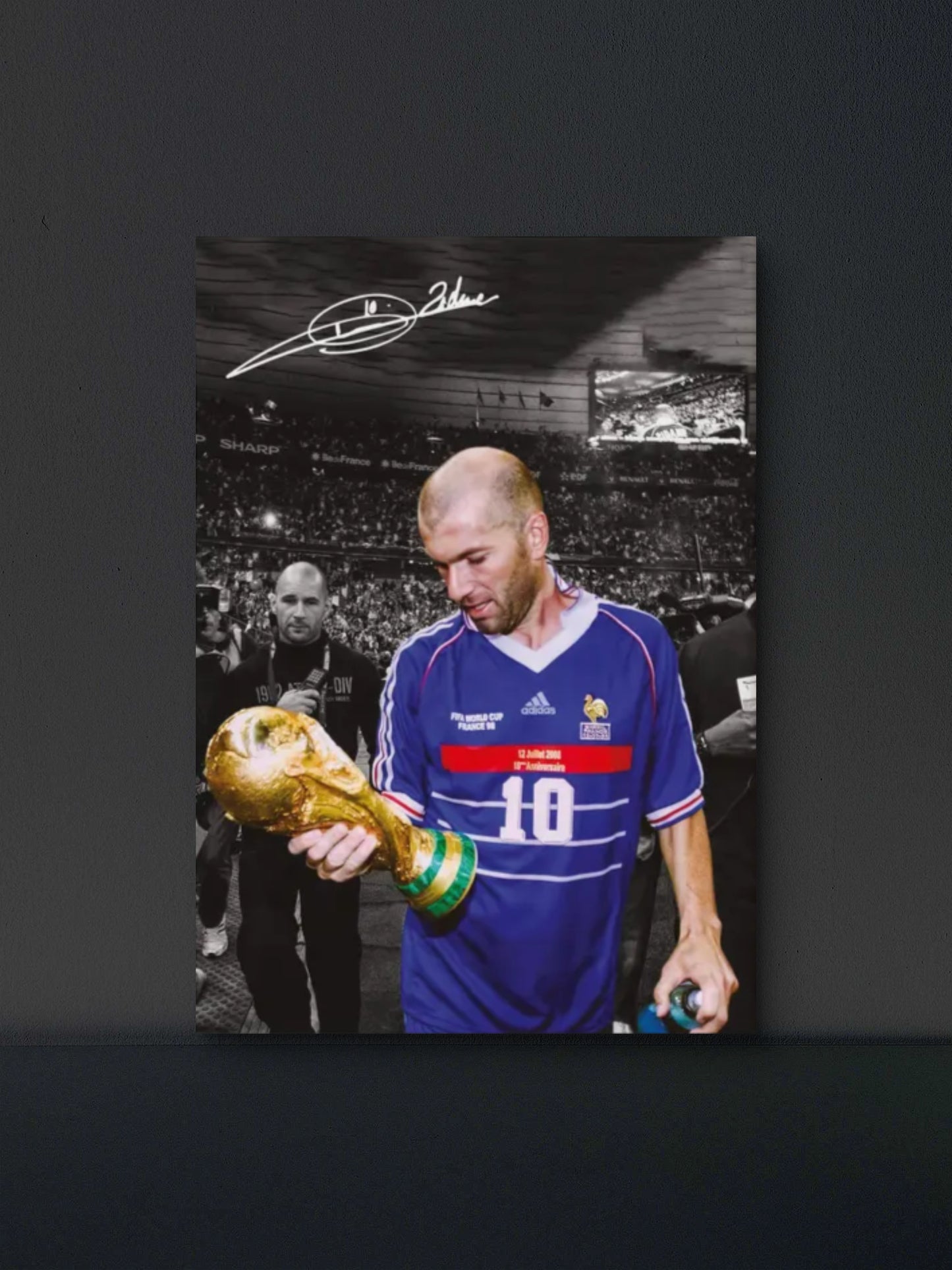 Zinedine Zidane Poster