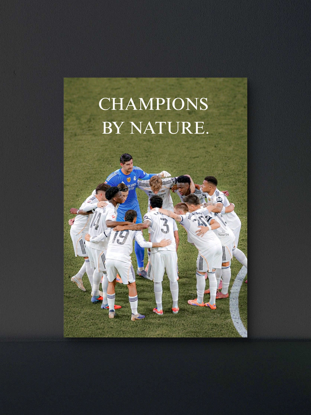 Champions By Nature